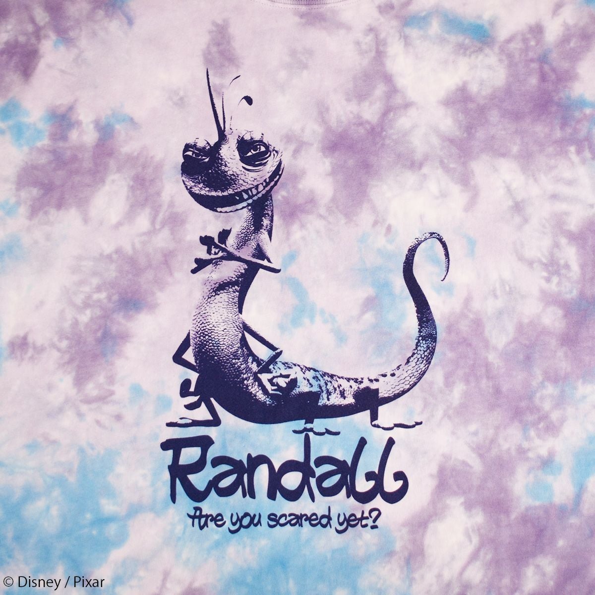 Pixar】ランドール・ホッグス/タイダイ/Tシャツ(PONEYCOMB TOKYO
